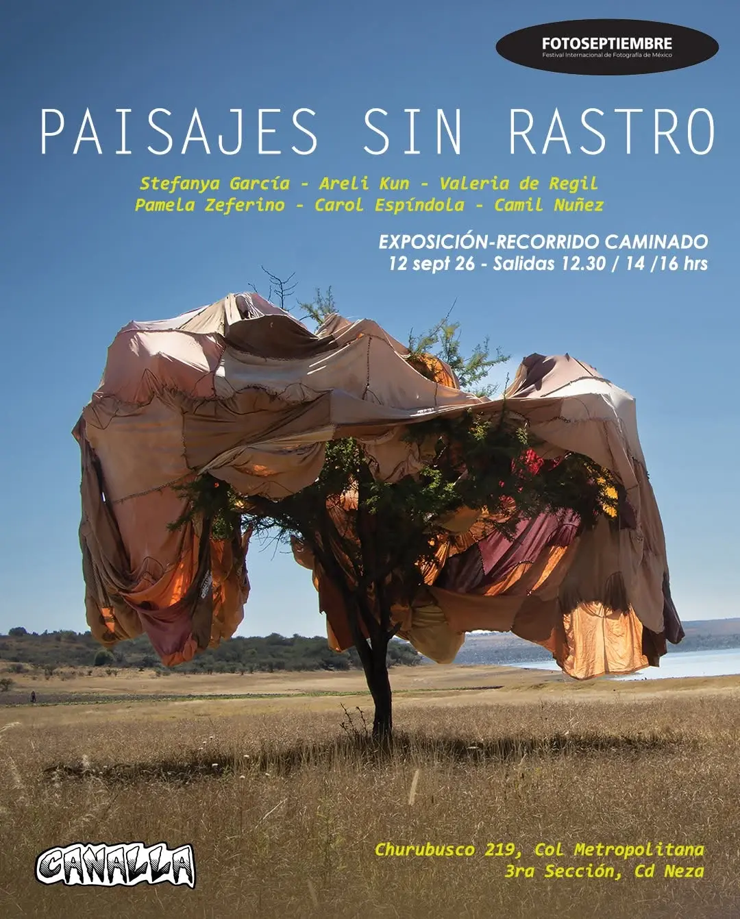 Cartel de Paisajes sin rastro: un árbol cubierto de telas en un campo seco